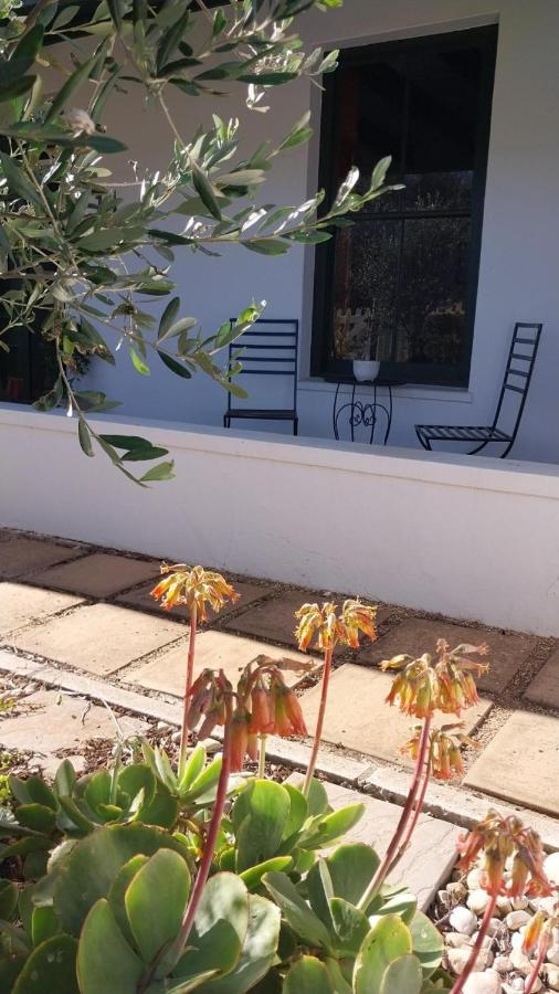 6 Olives B&B ダーリング エクステリア 写真